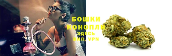 мяу мяу мука Ельня