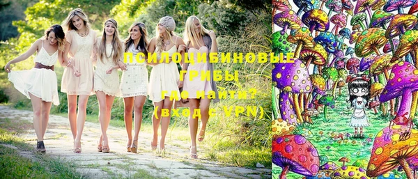бошки Елизово