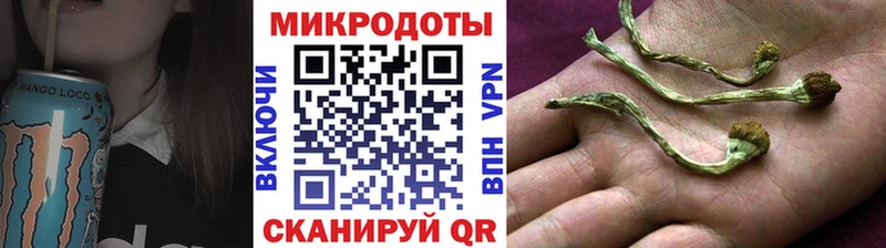 Псилоцибиновые грибы Cubensis  Белоярский 