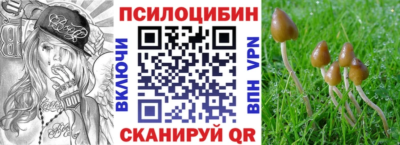 Псилоцибиновые грибы мицелий Белоярский